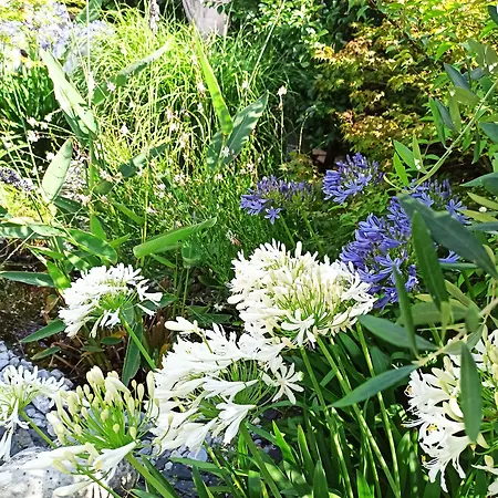 Penzion Ker Amice , Parenthese De Calme Pres De Bordeaux , 3 Avec Privatif 3*